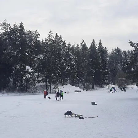 Of Peace, Ljubljana Area בקתה