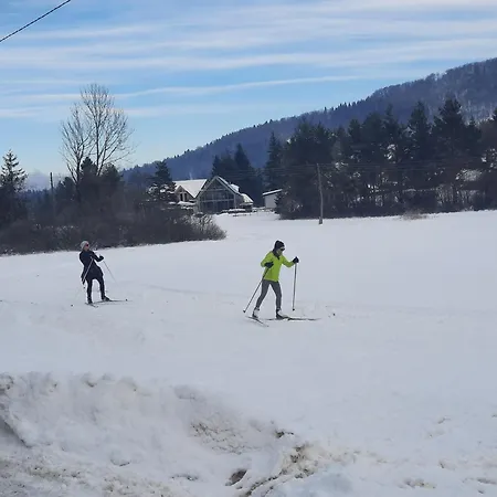 Of Peace, Ljubljana Area *