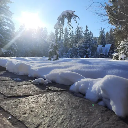 Of Peace, Ljubljana Area בקתה *