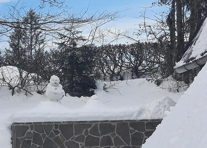 Of Peace, Ljubljana Area Alpehytte Rakitna