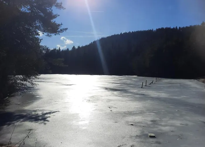 Of Peace, Ljubljana Area 샬레 Rakitna